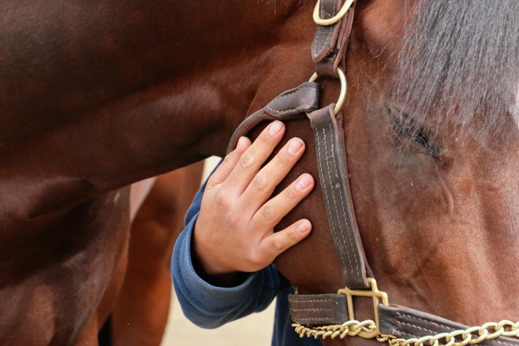 Term of Art and groom Daniel Robles. (Julie June Stewart photo)